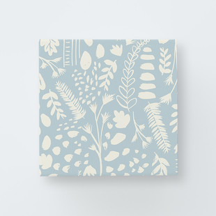 Shapes and leaves