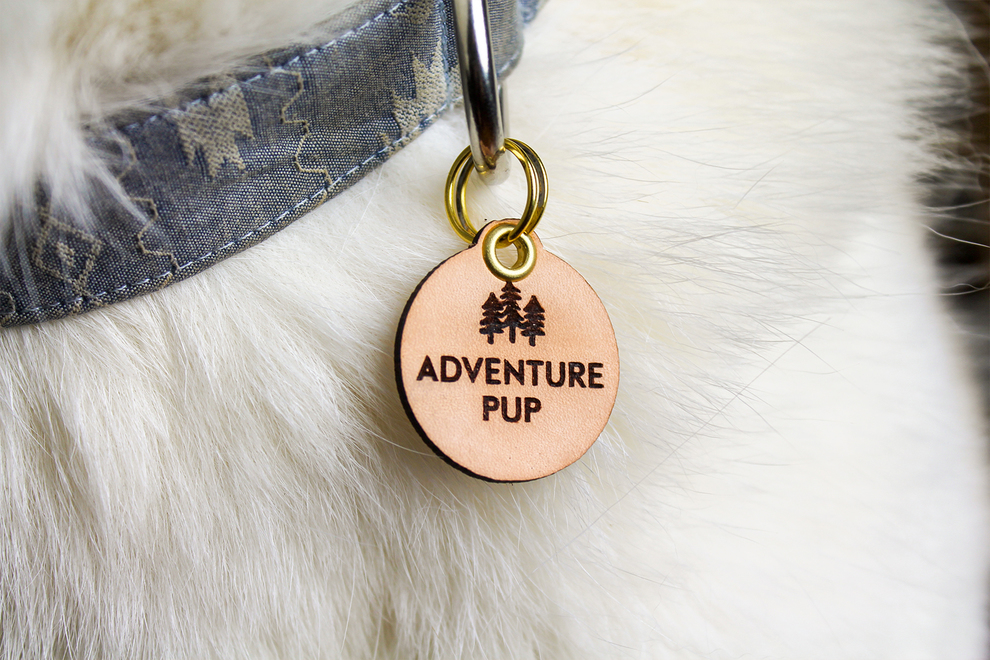 Gtb gift357 adventure pup pet tag detail main